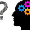 脳の構造と機能を知ろう！：高齢者の脳トレ、鍛えたい機能・部位は？